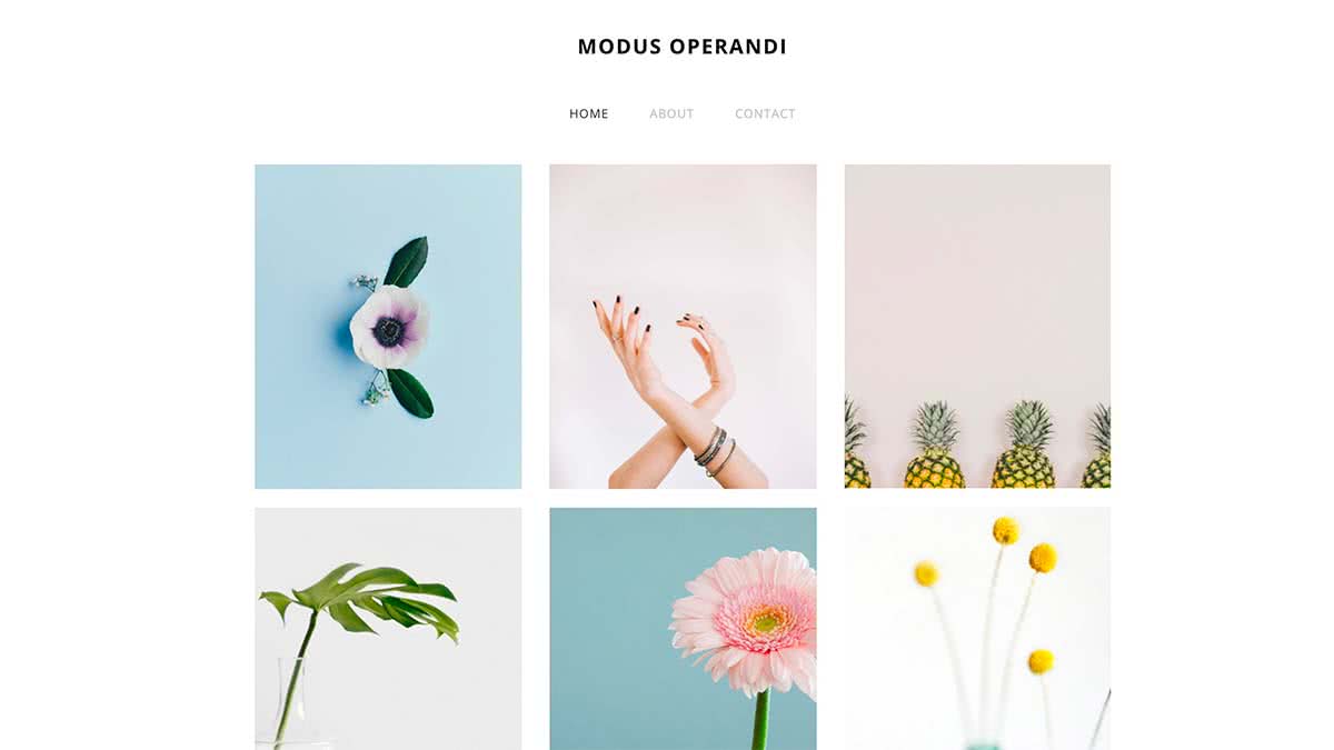 Website Builder template Theme 'Modus Operandi'